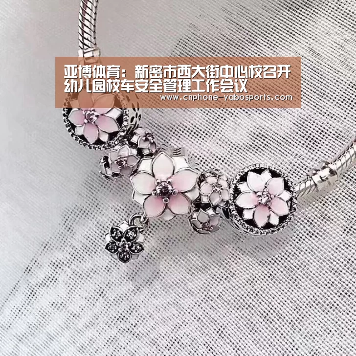 亚博体育:新密市西大街中心校召开幼儿园校车安全管理工作会议(图1) 亚博